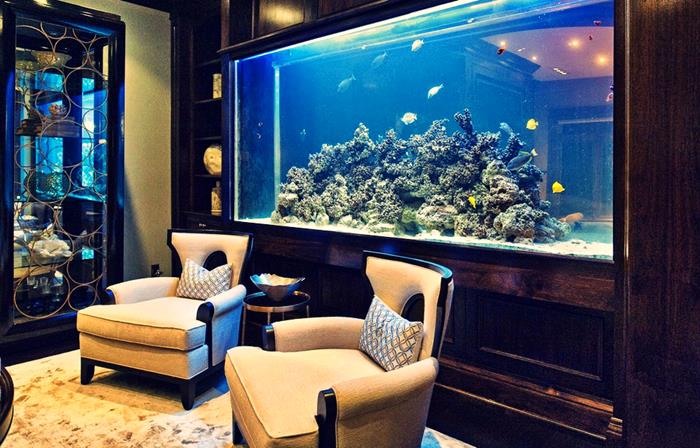 aquarium decoration